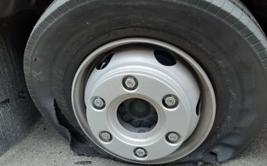Den Artikel lesen: Das ganze Ausmaß!