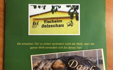 Den Artikel lesen: Wir spenden!