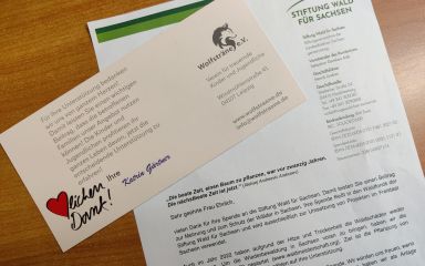 Den Artikel lesen: Spenden zu Weihnachten 2022